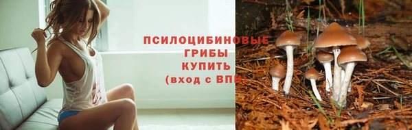 кокс Ельня
