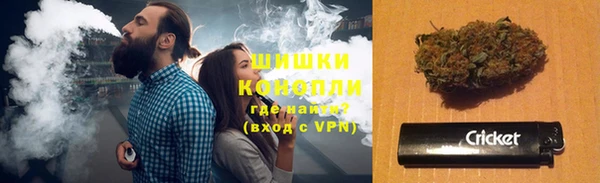 кокс Ельня
