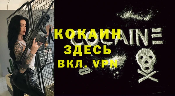 ALPHA PVP Елизово