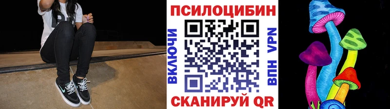 Купить где  Салехард  Галлюциногенные грибы Psilocybe 
